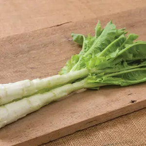 celtuce1