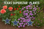 txsuperstarplants1
