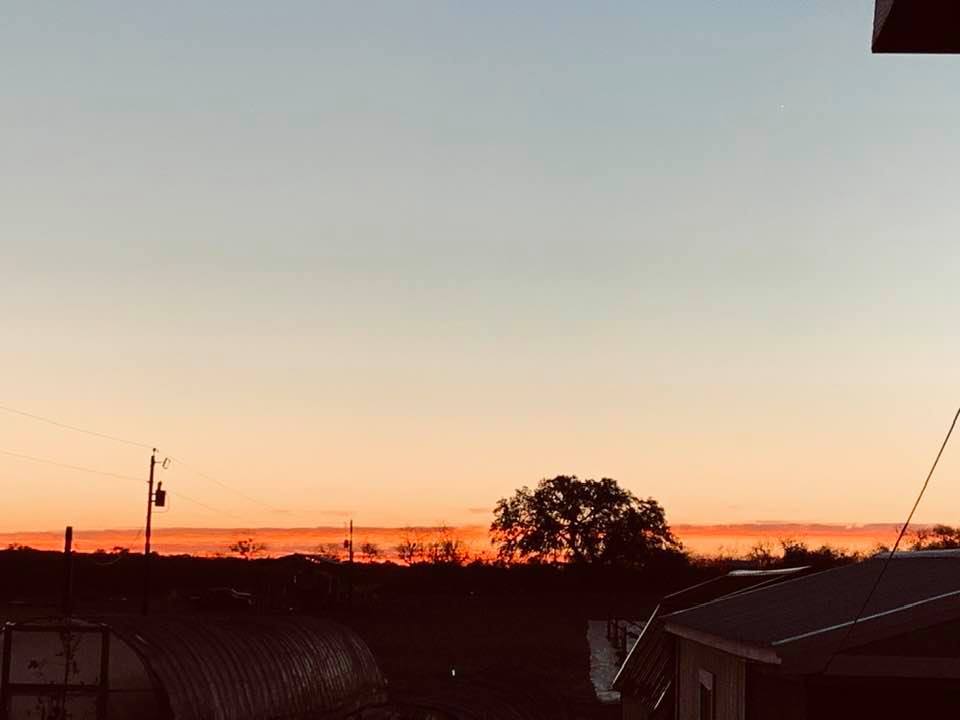 Goodbye 2020 and hello 2021. Happy New Year! What a beautiful sunrise to start the new year. The sunrises never get old here on the farm!