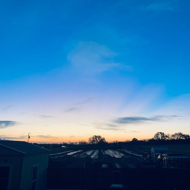 Just before the sun came up this morning while it was still calm and quiet on the farm.