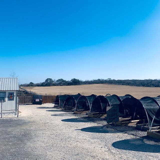 We have loved this field next to us since before we bought our property. It turned into a beautiful day this afternoon.