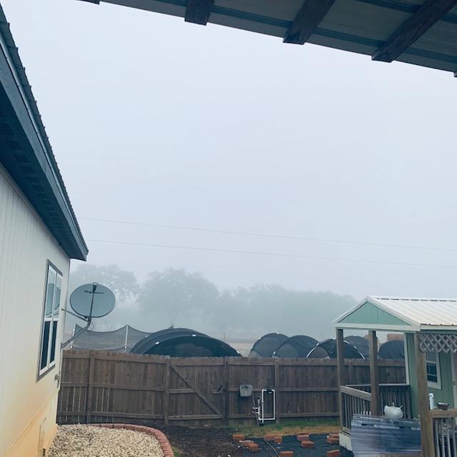 It is a foggy, wet morning. We get a lot of fog out this way. Just glad I don't have to drive in it.