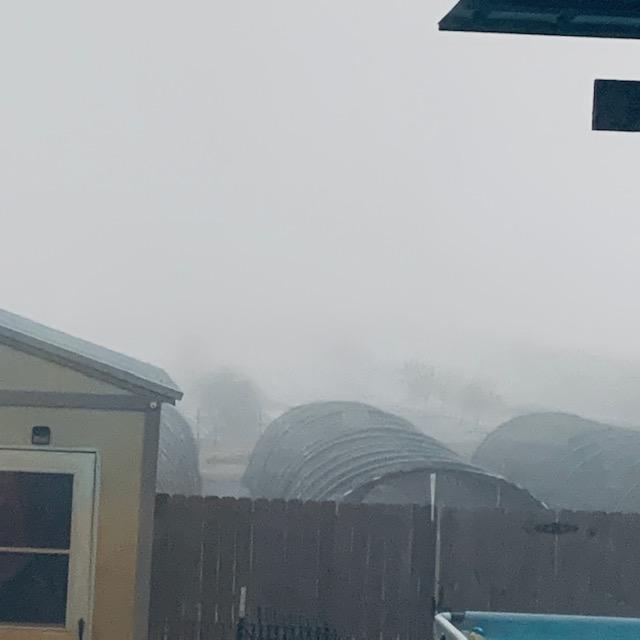 The fog is thicker today than yesterday and it is chilly out there.