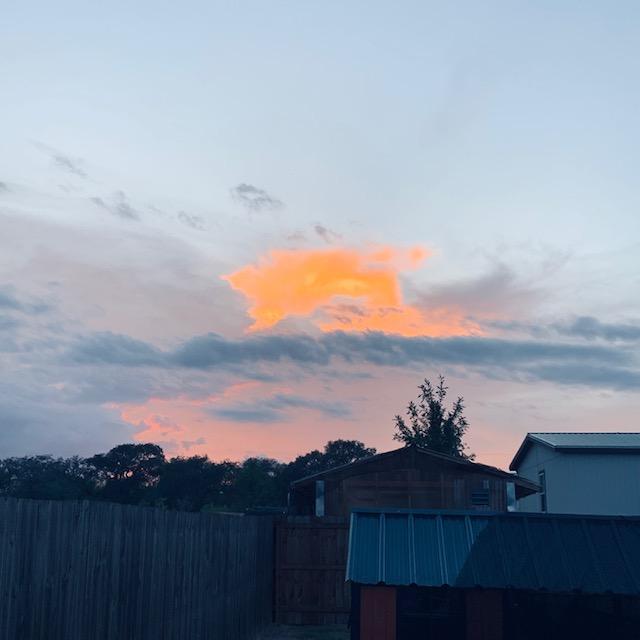 The sunsets lately have been very pretty.