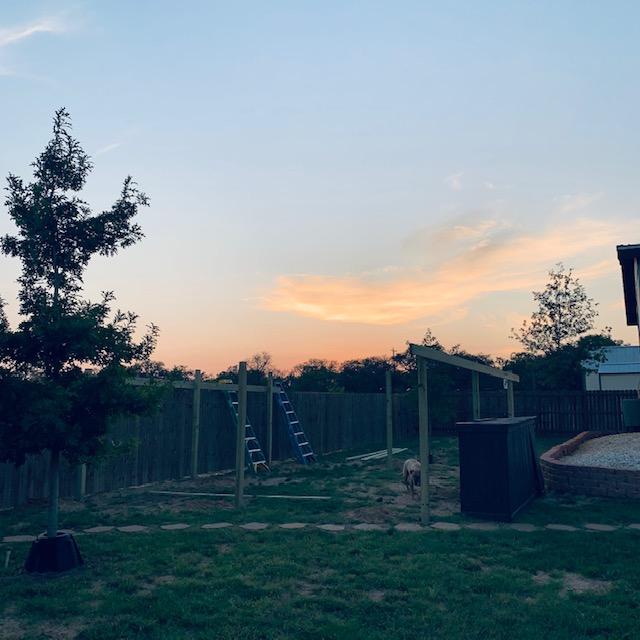 Sunset over the new plant area in my backyard. The ladders are still up.