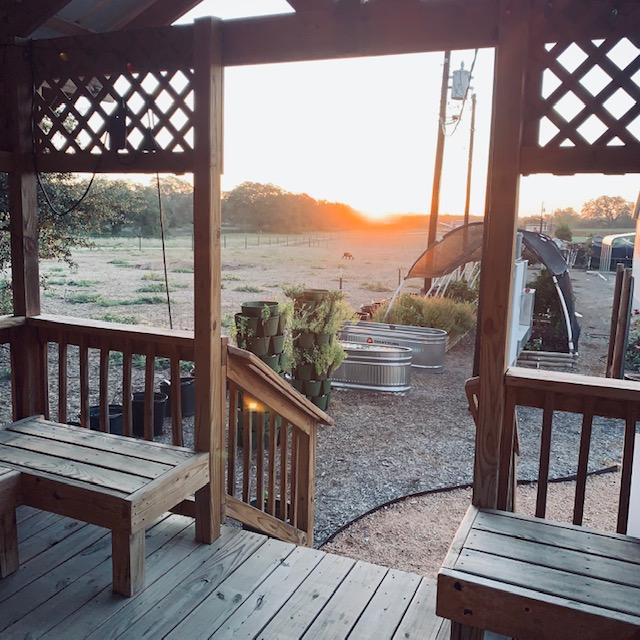 Sunrise this morning from the gazebo as I fed the fish.