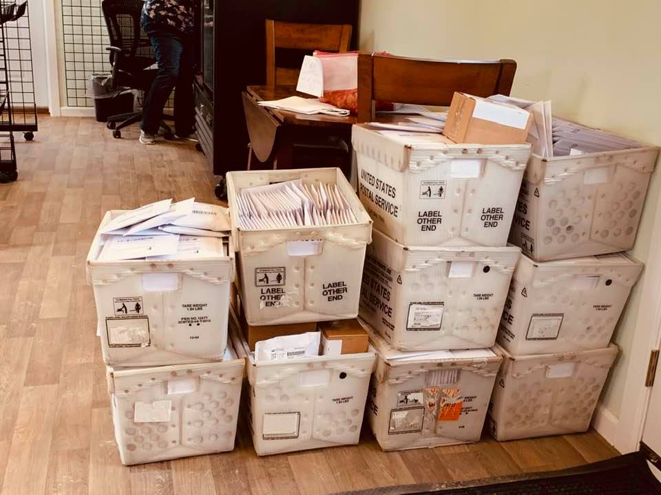 Ten boxes of orders for the mailman today! That is the most since we came to the farm. The fall wave of panic buying seeds is coming around.