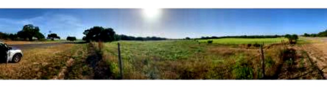 I took this photo early this morning on our small farm. The property outside the fence to the road belongs to the state of Texas.