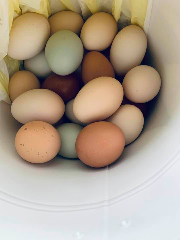 Our beautiful and tasty eggs are a farm fresh treat!