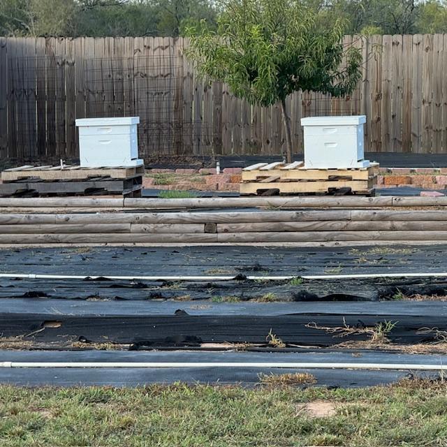 Our first bee hives were placed in our orchard. In the spring, there will be plenty of fruit blossoms on the trees for food.