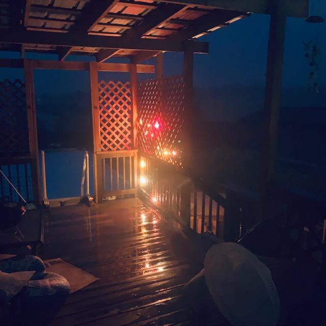 It was dark and wet when I took the dogs out early this morning.