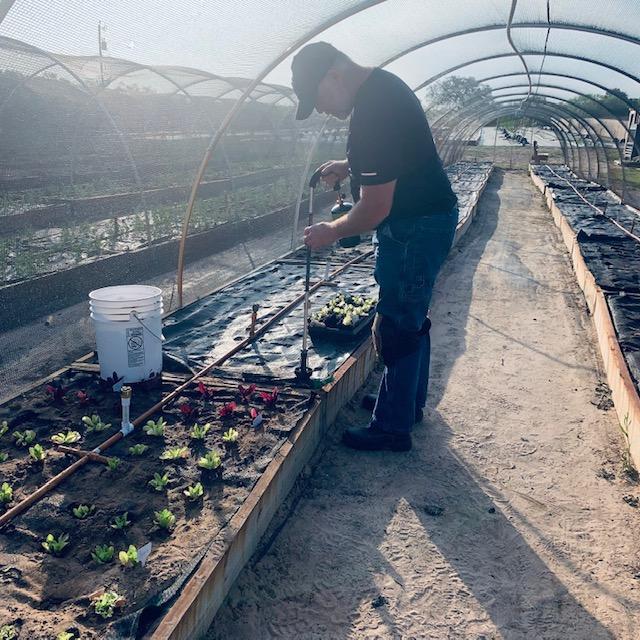 Aaron is burning holes in the weed barrier so he can plant some starts from the greenhouse.