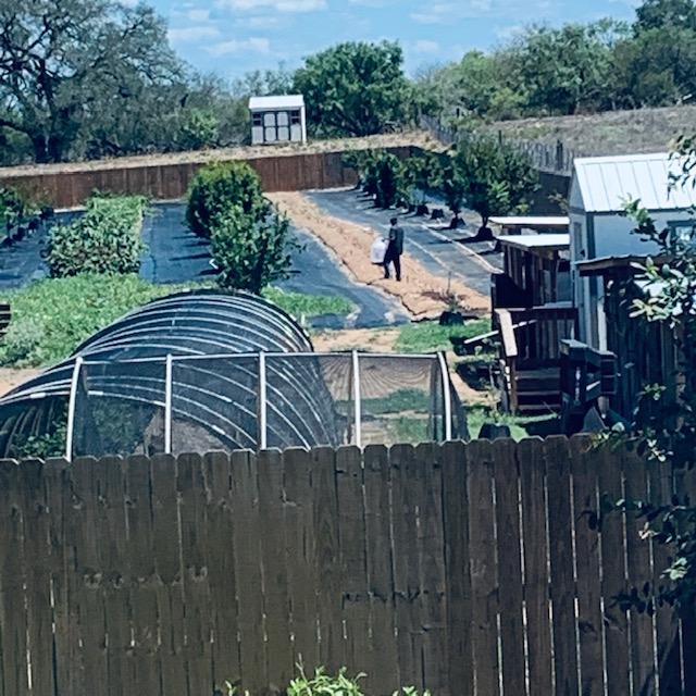 Aaron is out back planting flower seeds.