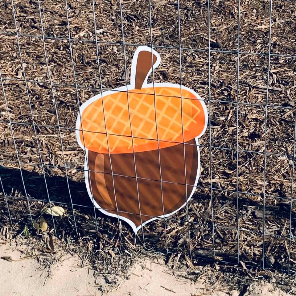 Acorns are actually forming on some of our oak trees this year.