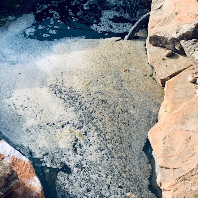 The algae was dying in this photo due to the algae killer powder that we put in once Matthew cleaned out the pond. I did not think it would ever clear up. The algae was dying in this photo due to the algae killer powder that we put in once Matthew cleaned out the pond. I did not think it would ever clear up.