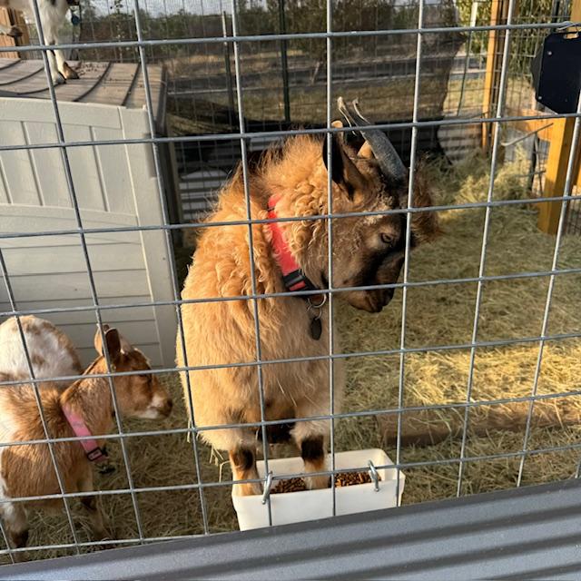 Alice on the left. Norton thinks everything is all about him. He is the spoiled baby.