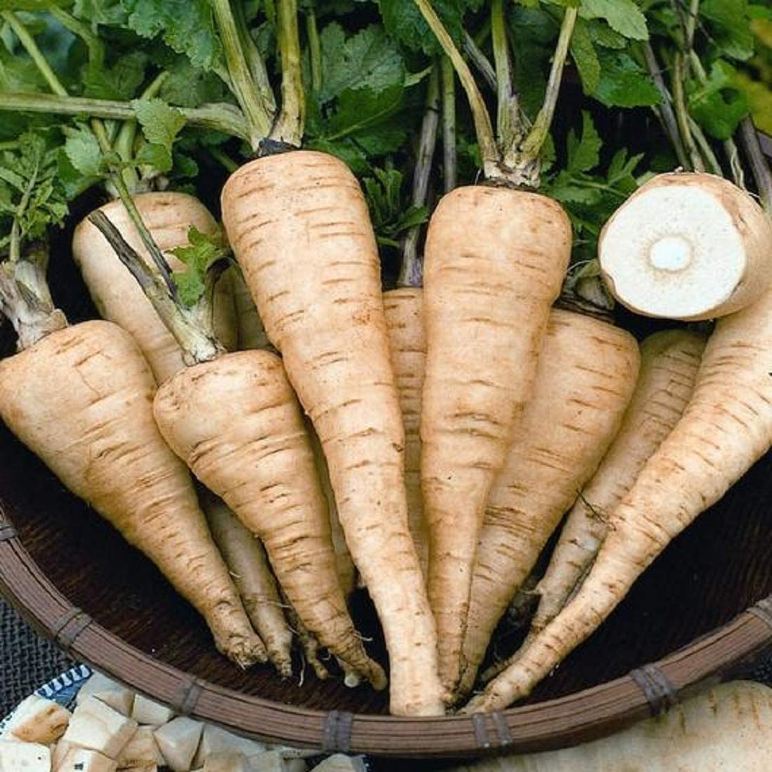 Grow parsnips like the All American parsnip.