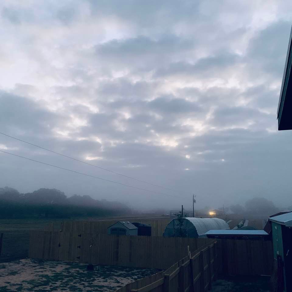 This morning is not as foggy as it was yesterday. It is chilly and wet. It looks cool.