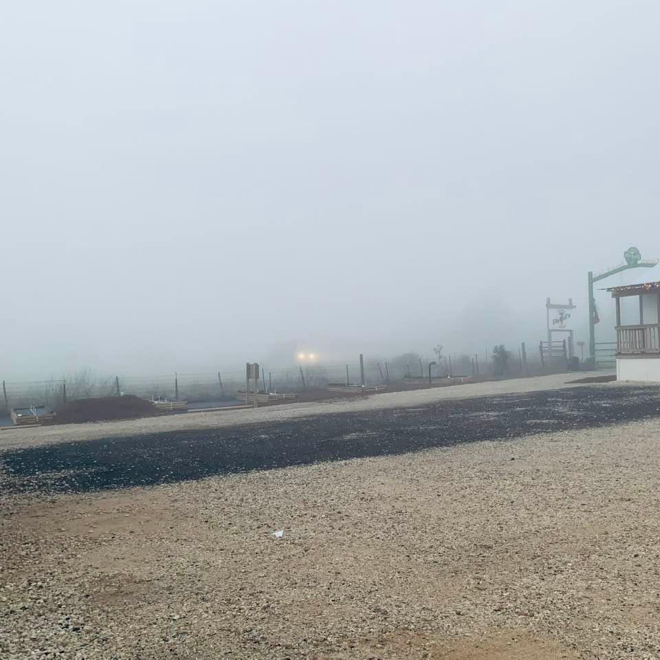 An 18 wheeler is coming. See the headlights? It was a foggy start to the day, but a good day to do November garden chores.