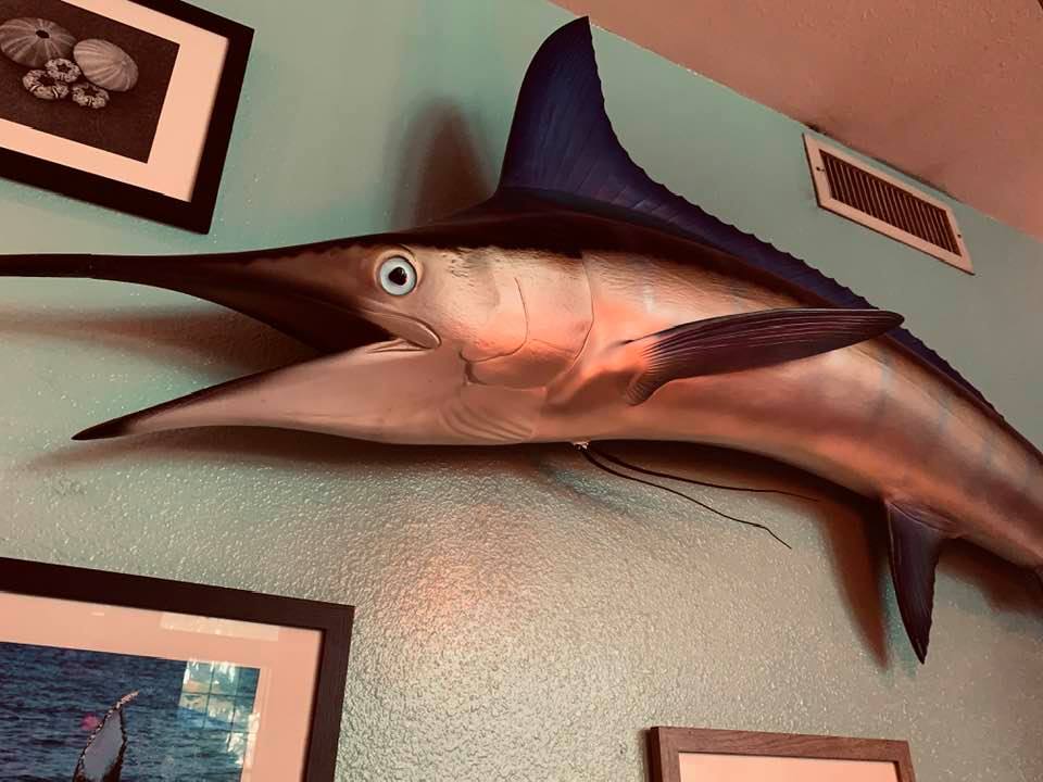 We ate dinner at the Angry Marlin on Padre Island.