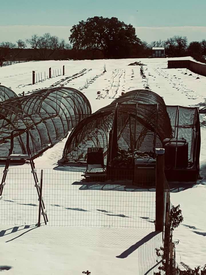 The back 40 is covered with snow from the snow in Texas 2021 once in a lifetime event.