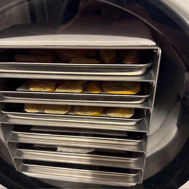 Apple and lemon slices in the freeze dryer.