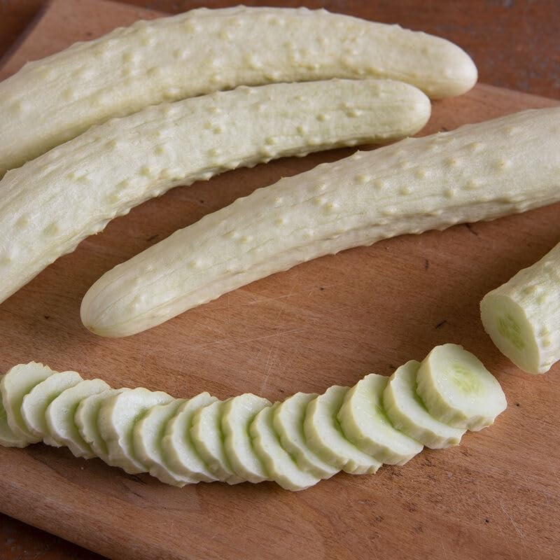 This is the Asian Itachi cucumber. Yes, it is white. In fact, we sell several white cucumbers. This is the Asian Itachi cucumber. Yes, it is white. In fact, we sell several white cucumbers.