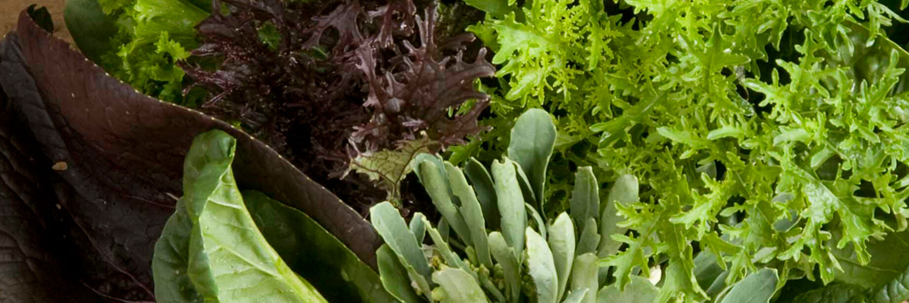 Asian greens should be considered when you are growing greens. They have good flavors and textures.