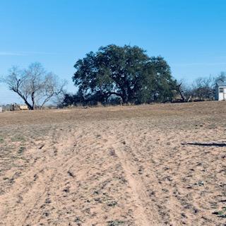 This is the back portion of our property. We have not done anything with it, but we have big plans. It takes time and money, lots of money!