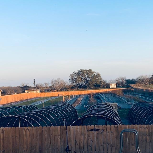 Here is a snapshot of our "back 40" where a lot of our gardening is done. We only have 4 acres so we are limited on the amount of our own seeds to grow.
