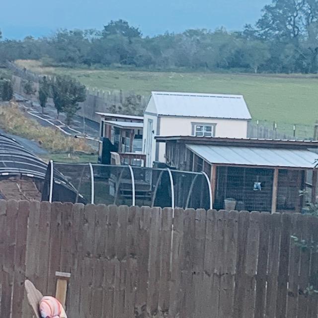 The fence keeps our dogs in from the rest of the property. You can see some hoop houses, the chicken castle, feed shed, rabbit coop and guinea coop. You can also see some land we may be buying soon.