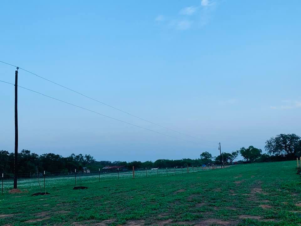 A pretty clear back 40.