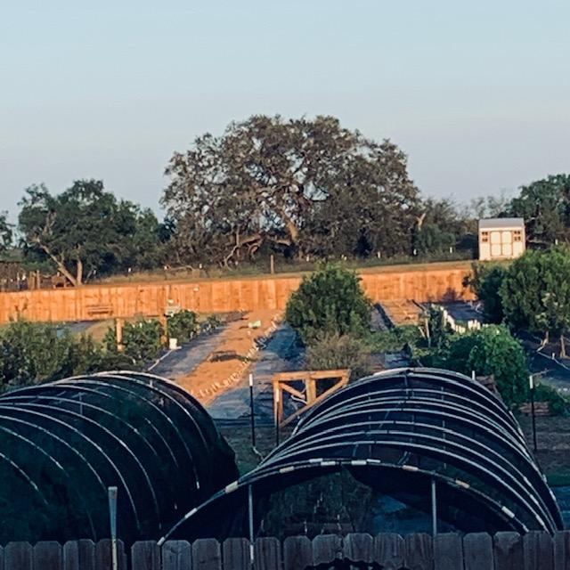 The sun is shining on the back 40 in the afternoon.