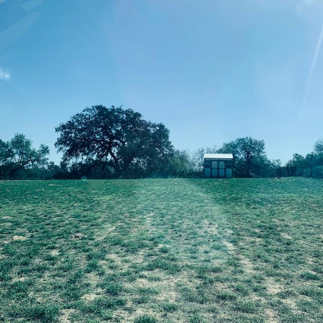 Our back acre has greened up after all of the rain. It looks good.