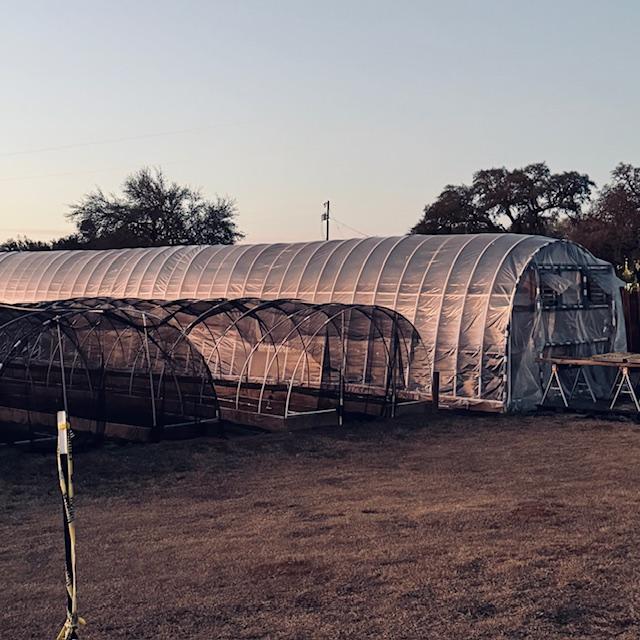 This is the back of our high tunnel where all of the plants are grown.