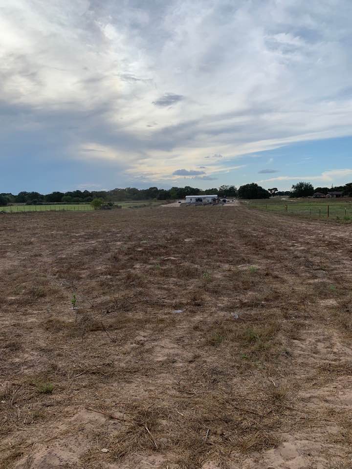 View from the back of the property of the home area when we were getting compost bins.