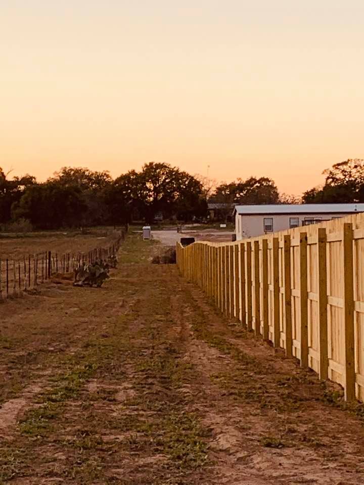 A shot of the fence and the road while I was walking the farm.