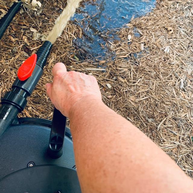 I back washed the pond filter and turned the knob which squeezes the sponges that are inside the filter and cleans them. The water is filthy.
