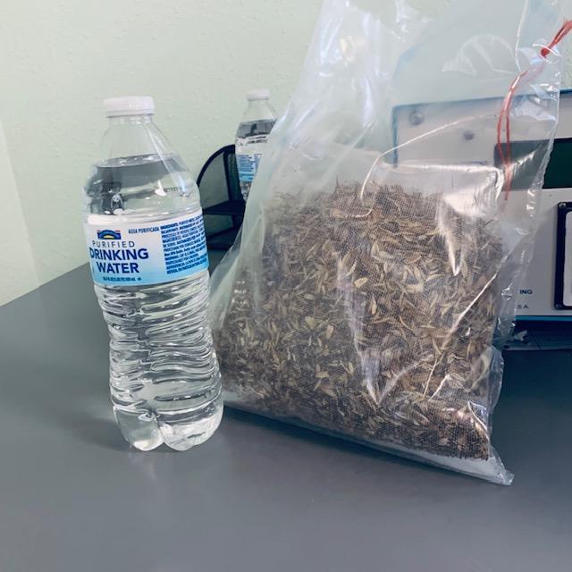 This is a 4 oz bag of my zinnia seeds compared to a normal sized water bottle. Keep in mind, it is mostly seed but there is some plant debris as well which is why we are giving you a 4 oz bag.