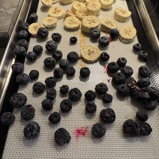 I dried 2 and a half trays of bananas and a half tray of blueberries.