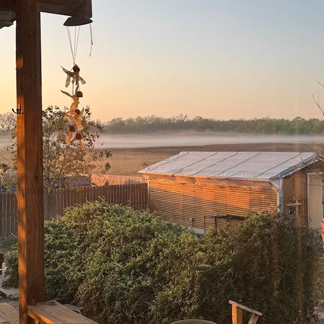 Now that band of fog has spread out and up. I think it looks so cool.