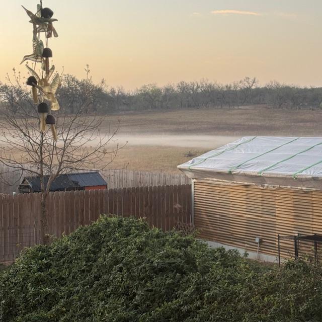 I enjoy seeing the bands of fog that sometimes form in the field like this one today.