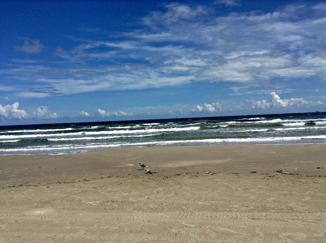 The beach is a great place to find shells. This is the beach in Port Aransas, Texas from the last time I went. It is beautiful there. The beach is a great place to find shells. This is the beach in Port Aransas, Texas from the last time I went. It is beautiful there.