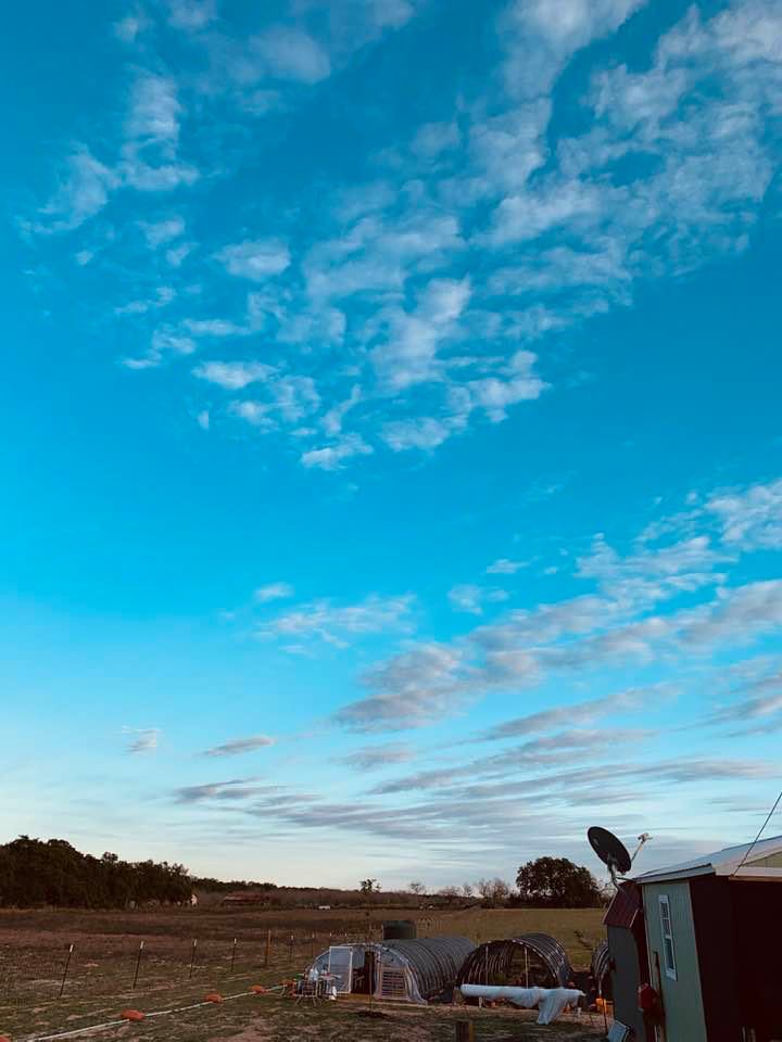 It's a beautiful day. Just look at the sky!