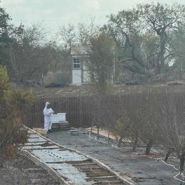 Matt will be sharing some of his photos soon. I took this from the kitchen but had to get back out to the business as I was the only one on duty today.