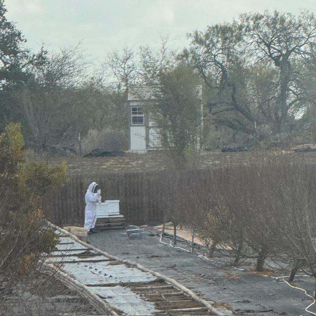 It is important to secure your gloves and attach them to your bee suit so bees can't get up in there and sting you.
