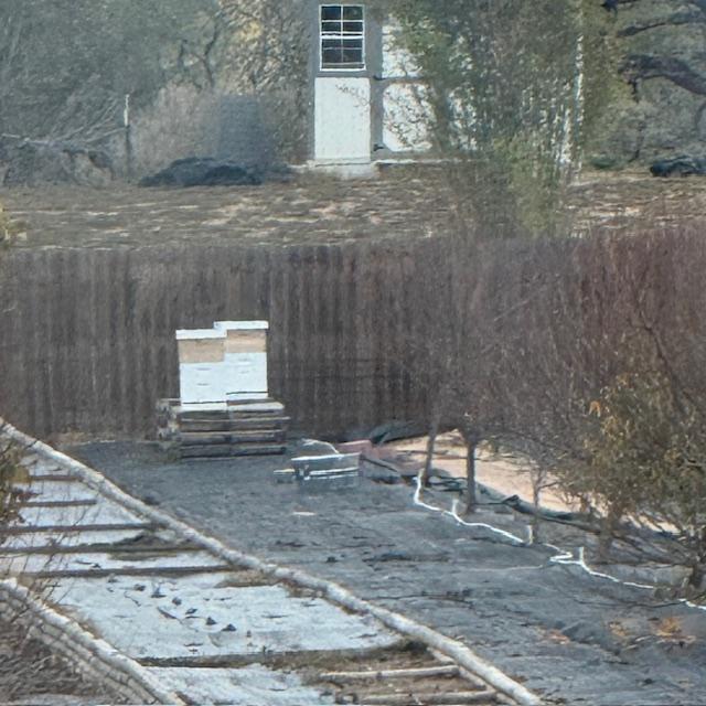 Matt added some parts to our hives today so they are much taller now.