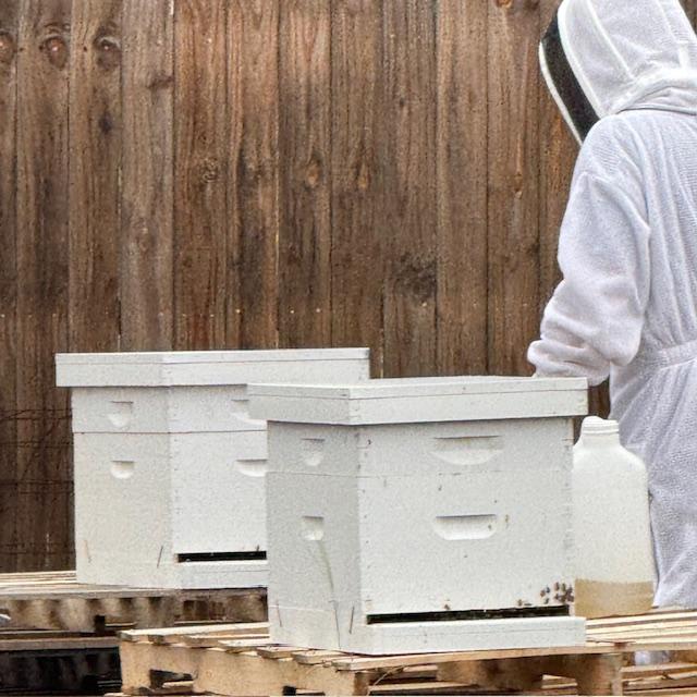 Matt checked on the bees and fed them sugar water this morning. I made the sugar water yesterday for them.