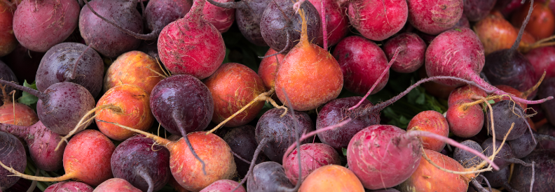 Some lovely beets in various colors to grow in your cool weather garden.