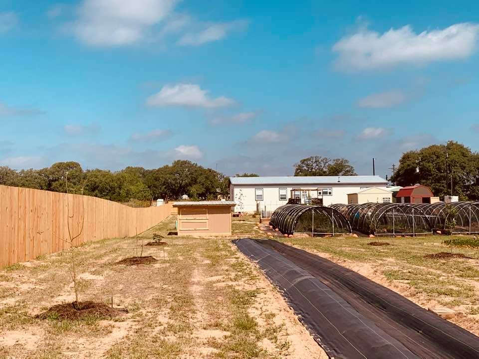 The back of the chicken coop and the back of our home.